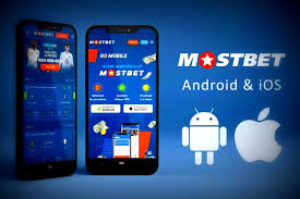 Mostbet Evaluation